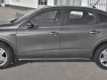 RENAULT ARKANA 2019- Пороги труба d42 (вариант 1) RART-0033201