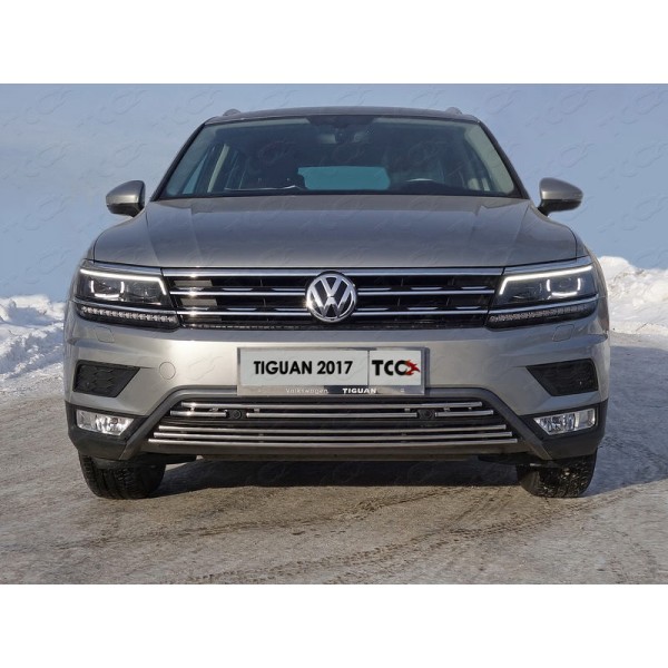 Решетка радиатора верхняя 16 мм (Пакет Offroad) Volkswagen Tiguan с 2017