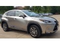 Молдинги на двери  Lexus NX  — (SV) 2014 f58